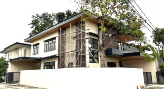 Brandnew Corner House for Sale in Bf Homes, Paranaque