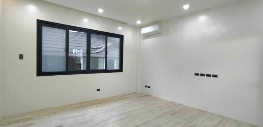 Brandnew Modern House for Sale in Bf Homes, Paranaque