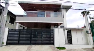 Brandnew Modern House for Sale in Bf Homes, Paranaque