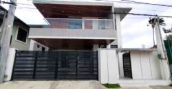 Brandnew Modern House for Sale in Bf Homes, Paranaque