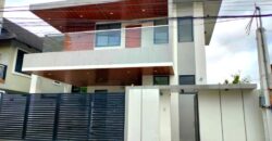 Brandnew Modern House for Sale in Bf Homes, Paranaque