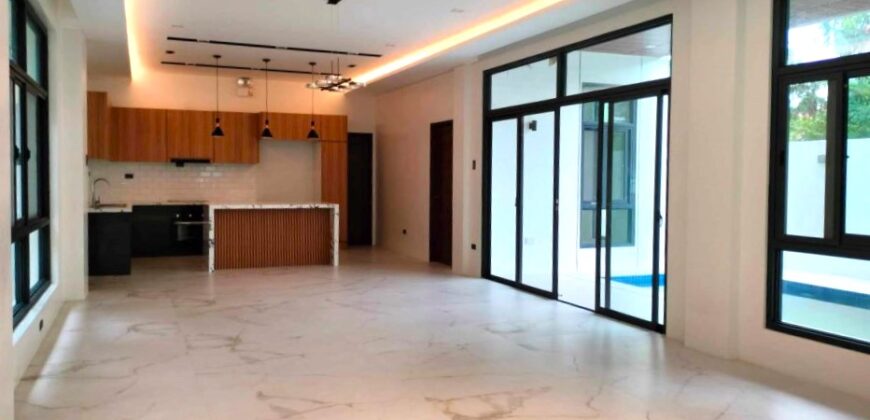 Brandnew Modern House for Sale in Bf Homes, Paranaque