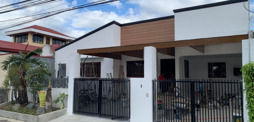 House And Lot For Sale In BF International Las Pinas