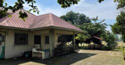 Farm House For Sale in Mexico Pampanga