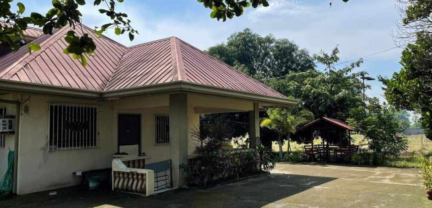 Farm House For Sale in Mexico Pampanga