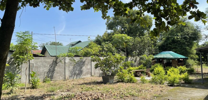 Farm House For Sale in Mexico Pampanga