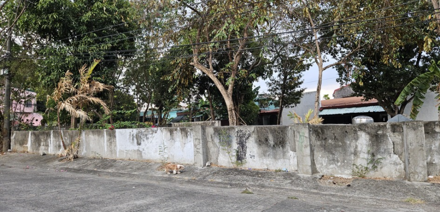 Corner Lot for Sale in Las Pinas