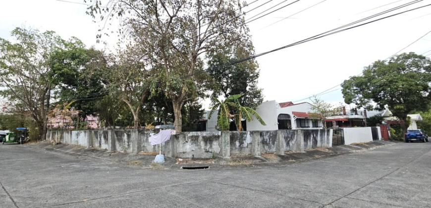 Corner Lot for Sale in Las Pinas