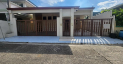 Brandnew Bungalow House for Sale in Bf Homes, Paranaque