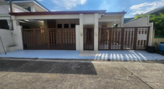 Brandnew Bungalow House for Sale in Bf Homes, Paranaque