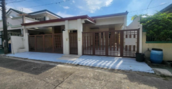 Brandnew Bungalow House for Sale in Bf Homes, Paranaque