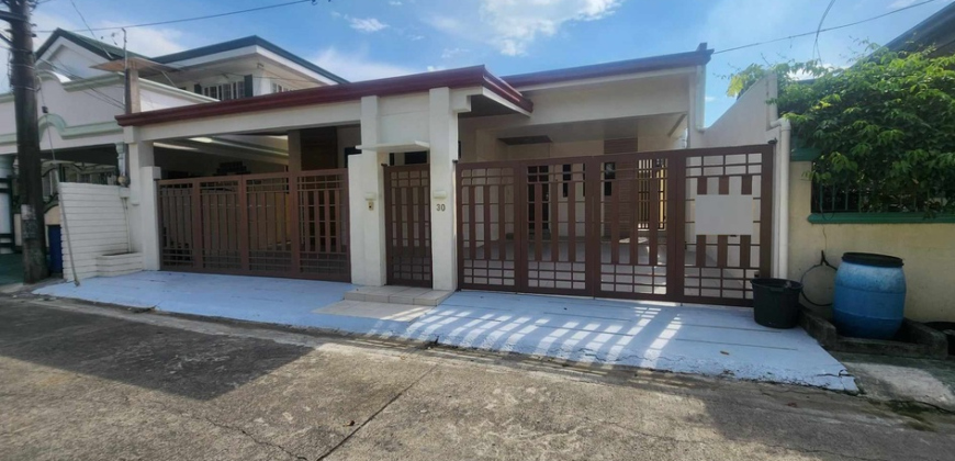 Brandnew Bungalow House for Sale in Bf Homes, Paranaque