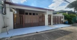 Brandnew Bungalow House for Sale in Bf Homes, Paranaque