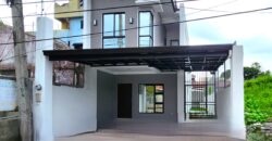 Brandnew Single Detached House for Sale in Paranaque