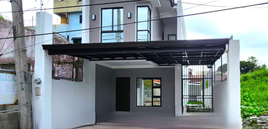 Brandnew Single Detached House for Sale in Paranaque