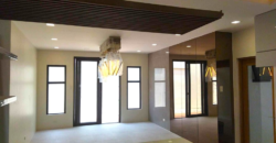 Brandnew 3 Storey Modern House for Sale in Bf Homes, Paranaque