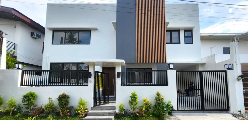 Brandnew Modern House for Sale in Bf Homes, Paranaque