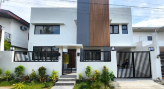 Brandnew Modern House for Sale in Bf Homes, Paranaque