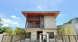 Brandnew House with Swimming Pool in Bf Homes, Paranaque