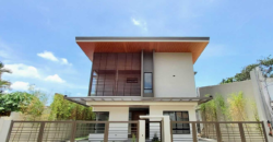 Brandnew House with Swimming Pool in Bf Homes, Paranaque