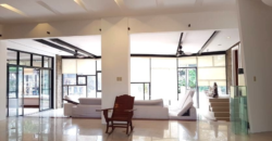 Mansion House for Rent in Bf Paranaque