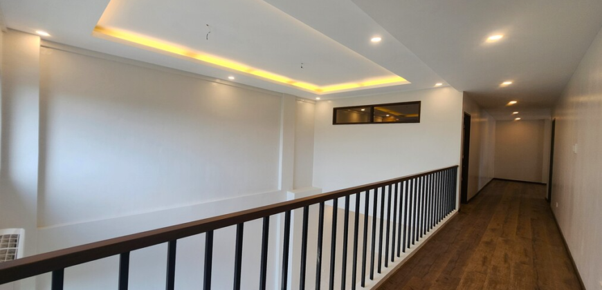 Brandnew Modern House for Sale in Bf Homes, Paranaque