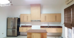 Mansion House for Rent in Bf Paranaque