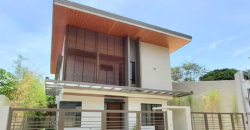 Brandnew House with Swimming Pool in Bf Homes, Paranaque