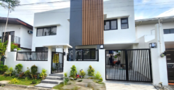 Brandnew Modern House for Sale in Bf Homes, Paranaque