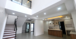 FOR SALE: Brandnew House with Lap Pool in Bf Homes Paranaque