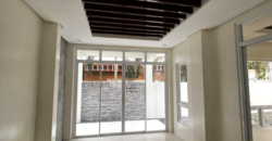 Brand New House and Lot for Sale in Sun Valley, Paranaque