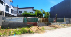 Vacant Lot for Lease in Multinational, Paranaque