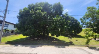 428Sqm Lot For Sale in Brazilia Heights Subd. Tunasan Muntinlupa