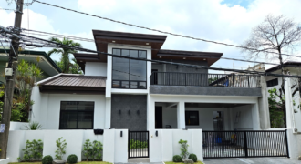 2 Storey Modern House and Lot for Sale in Bf Homes Paranaque