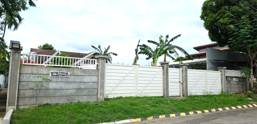 416sqm Residential Lot for Sale in BF Homes Paranaque