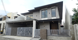 For Sale: 2 Storey House with Elevator in Bf Homes, Paranaque