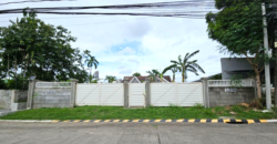 416sqm Residential Lot for Sale in BF Homes Paranaque