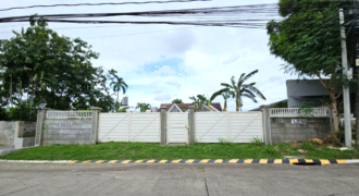 416sqm Residential Lot for Sale in BF Homes Paranaque