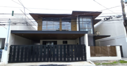 For Sale: 2 Storey House with Elevator in Bf Homes,Paranaque