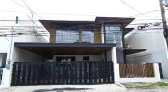 For Sale: 2 Storey House with Elevator in Bf Homes,Paranaque