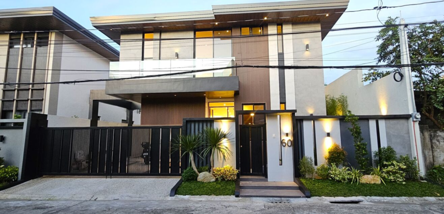 Brandnew House and Lot for Sale in Bf Homes, Paranaque