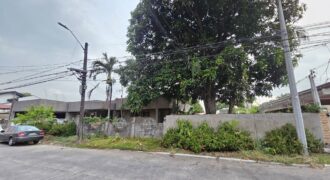 Fixer Upper Bungalow with Swimming Pool and Garden in BF Homes Las Pinas