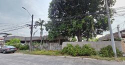 Fixer Upper Bungalow with Swimming Pool and Garden in BF Homes Las Pinas