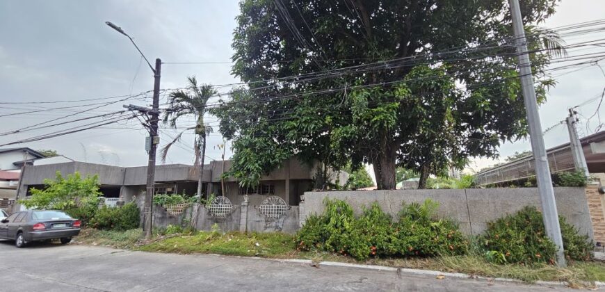 Fixer Upper Bungalow with Swimming Pool and Garden in BF Homes Las Pinas