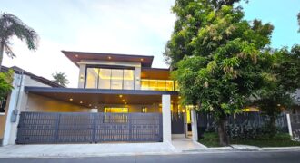 Brand-new Modern Home in Bf Homes Paranaque