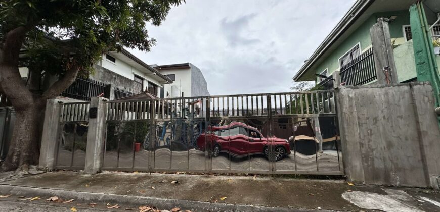 Vacant Lot for Sale in Katarungan Village, Muntinlupa City