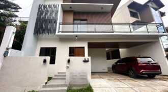 Brandnew House and Lot for Sale in Katarungan Village, Muntinlupa City