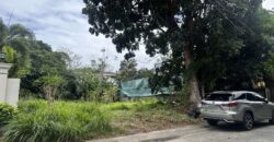 Vacant Lot for Sale in Ayala Alabang Village