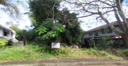 Vacant Lot for Sale in Ayala Alabang Village