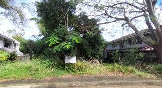 Vacant Lot for Sale in Ayala Alabang Village